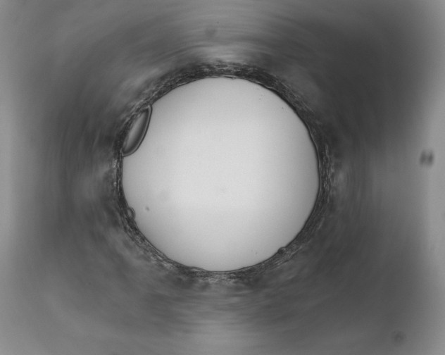 X0000111911061200908241022