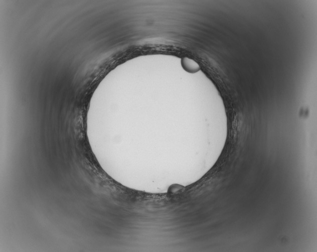 X0000111911062200908241022