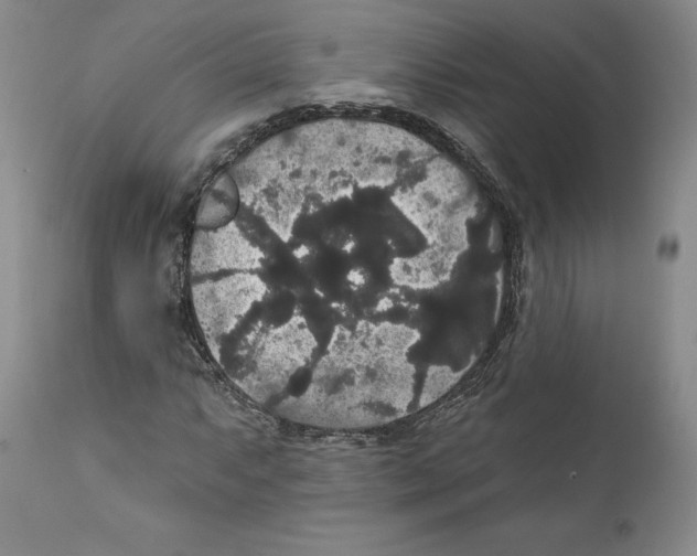 X0000111911063200908241022