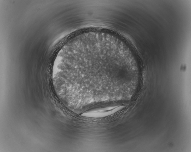 X0000111911064200908241022