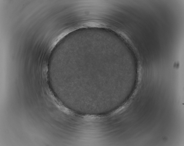 X0000111911065200908241022