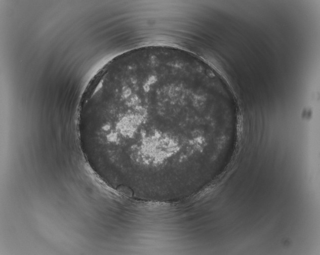 X0000111911068200908241021