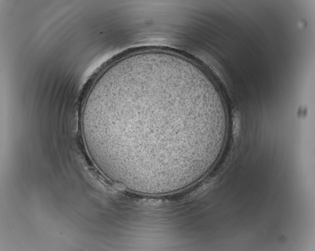X0000111911069200908241021