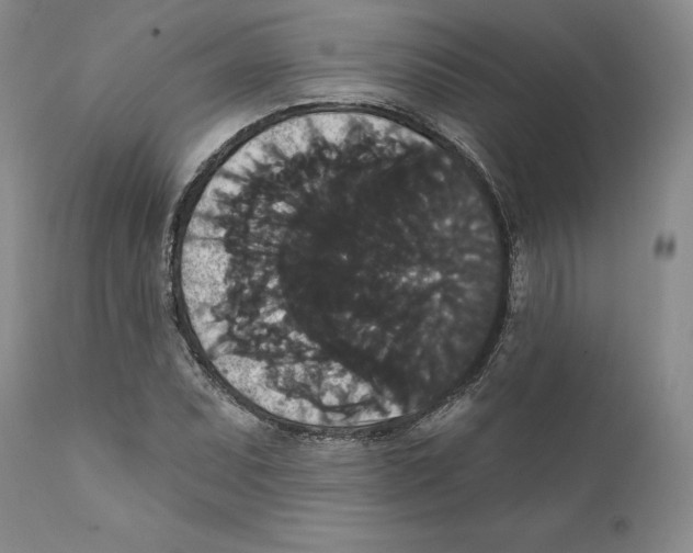 X0000111911071200908241021