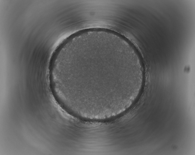 X0000111911072200908241021