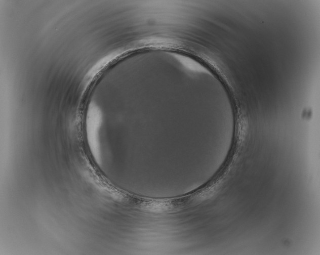 X0000111911074200908241021