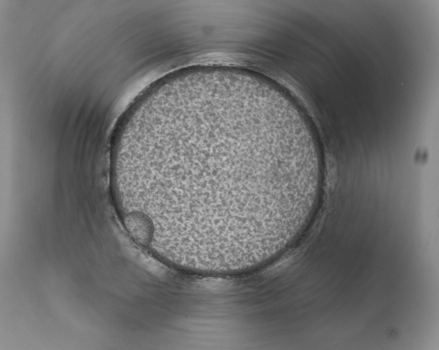 X0000111911075200908241021