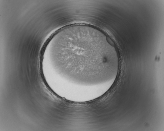 X0000111911076200908241021