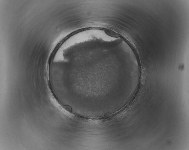 X0000111911080200908241021