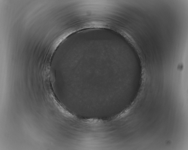 X0000111911081200908241021