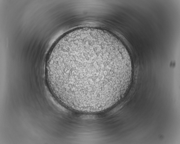 X0000111911083200908241021