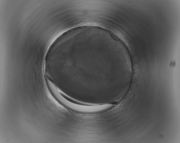 X0000111911084200908241021