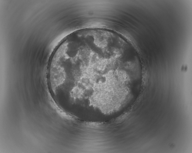 X0000111911086200908241021