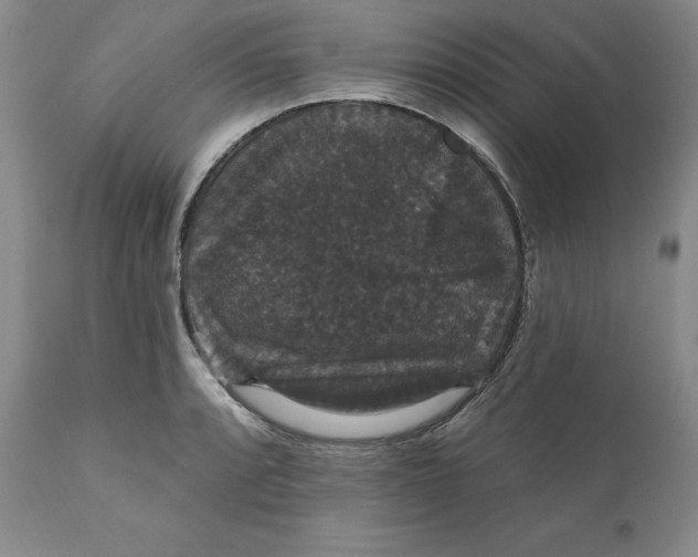 X0000111911088200908241021