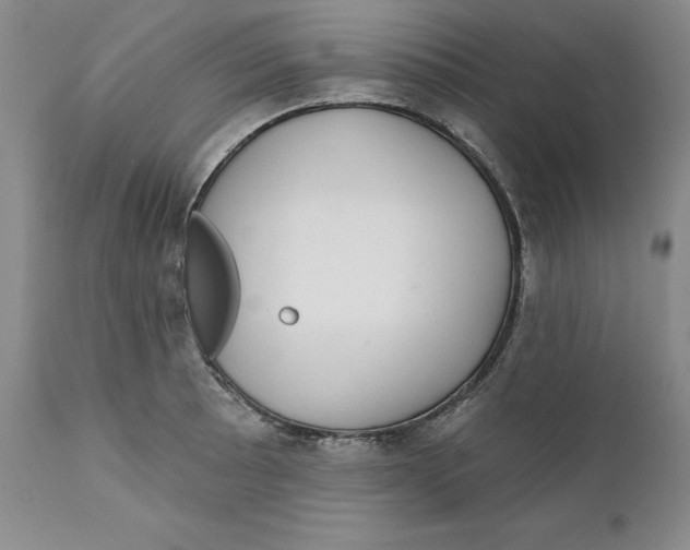 X0000111911089200908241021