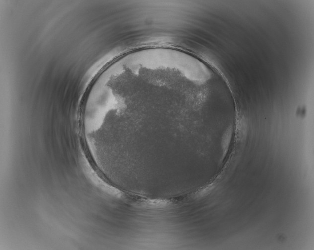 X0000111911090200908241021