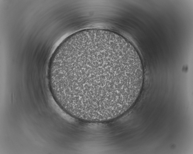 X0000111911091200908241021