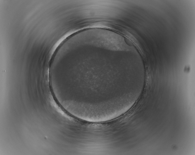 X0000111911092200908241021