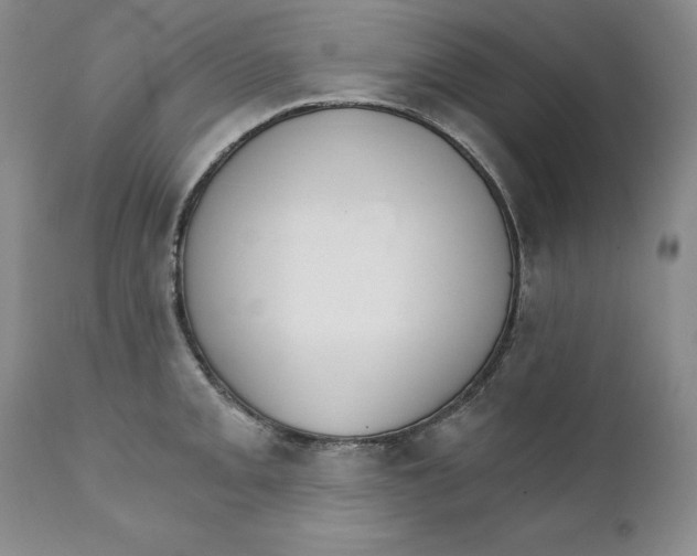 X0000111911093200908241021