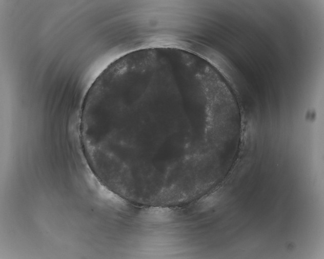 X0000111911094200908241021