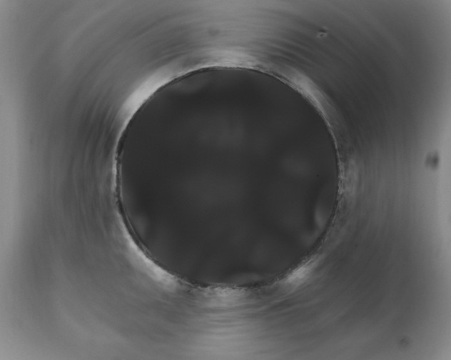 X0000111911095200908241021