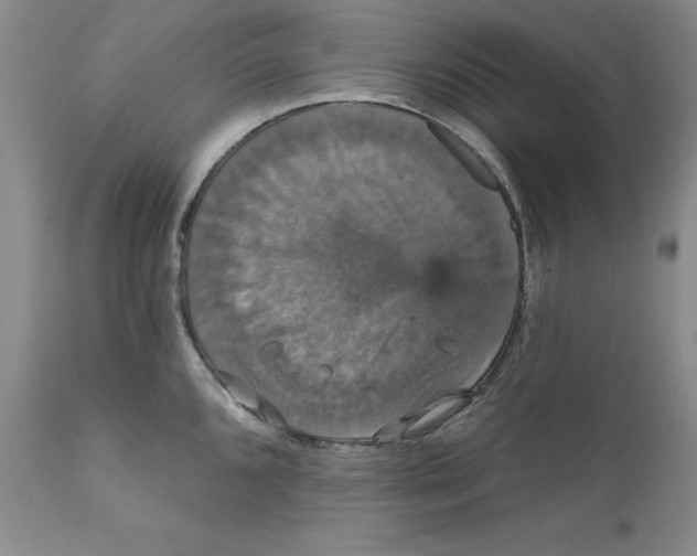 X0000111911096200908241021