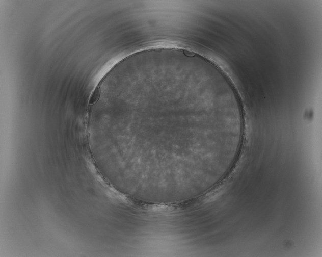 X0000111911097200908241021