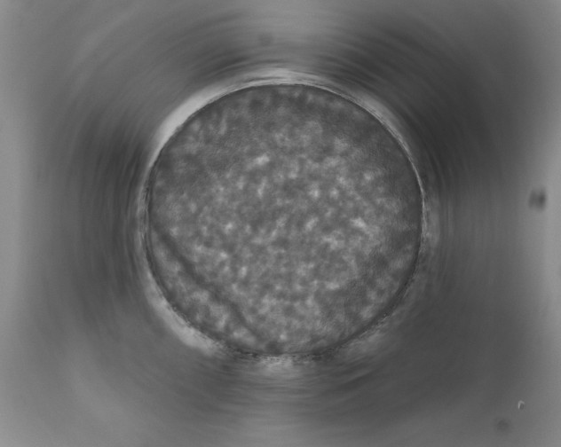 X0000111911098200908241021
