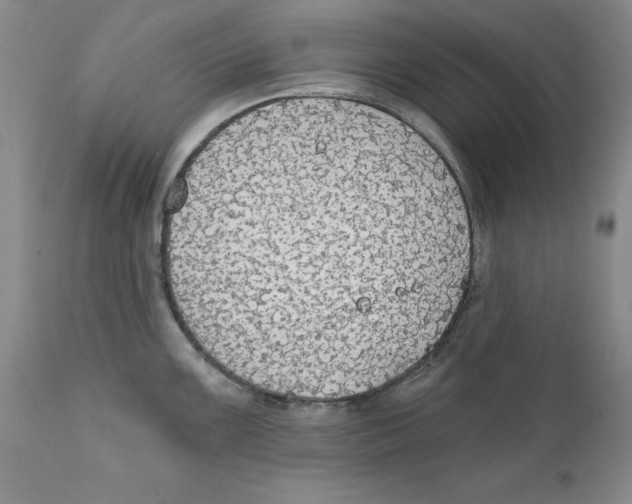 X0000111911099200908241021