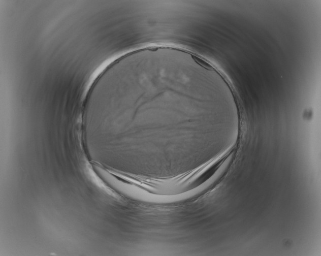 X0000111911100200908241021