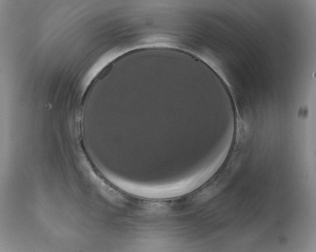 X0000111911101200908241021