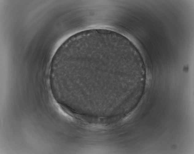 X0000111911102200908241021