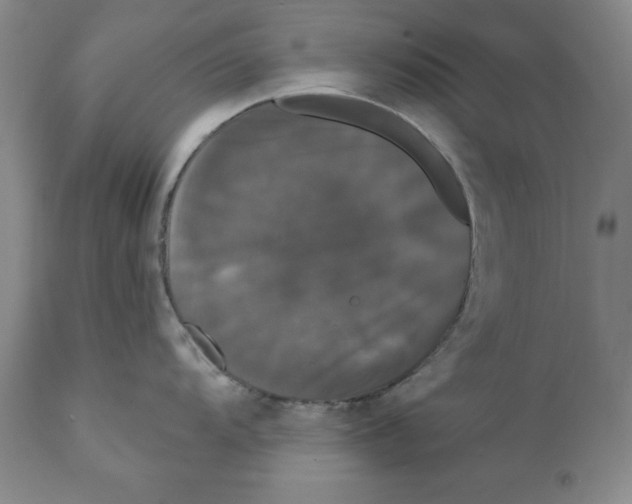 X0000111911104200908241021
