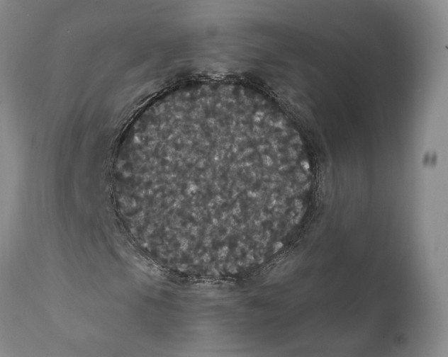 X0000111911105200908241020