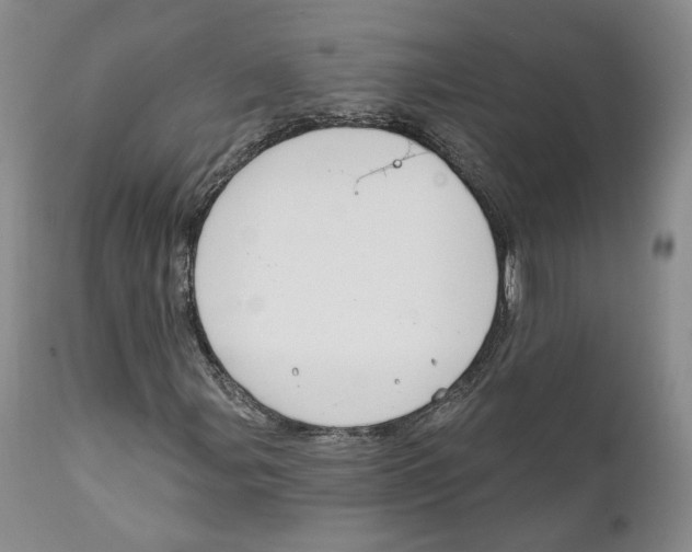 X0000111911107200908241020