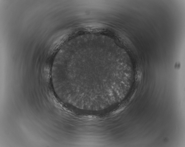 X0000111911108200908241020