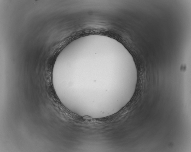 X0000111911109200908241020