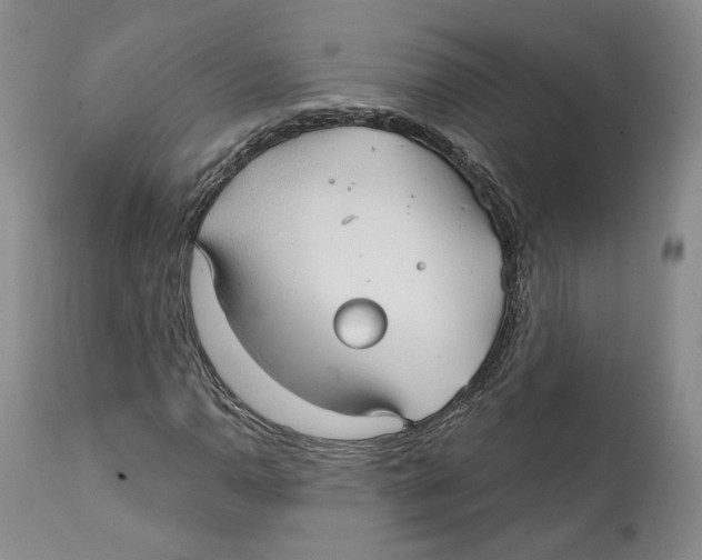 X0000111911110200908241020