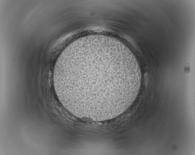X0000111911111200908241020