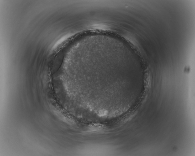 X0000111911112200908241020