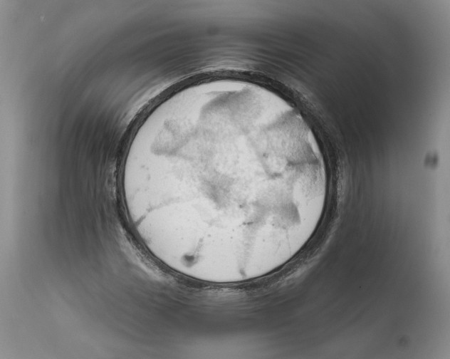 X0000111911113200908241020