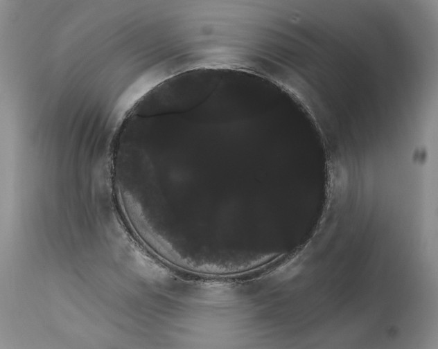 X0000111911114200908241020