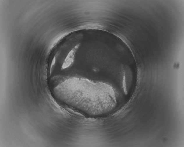 X0000111911115200908241020