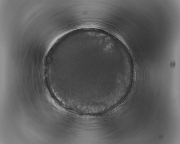 X0000111911116200908241020