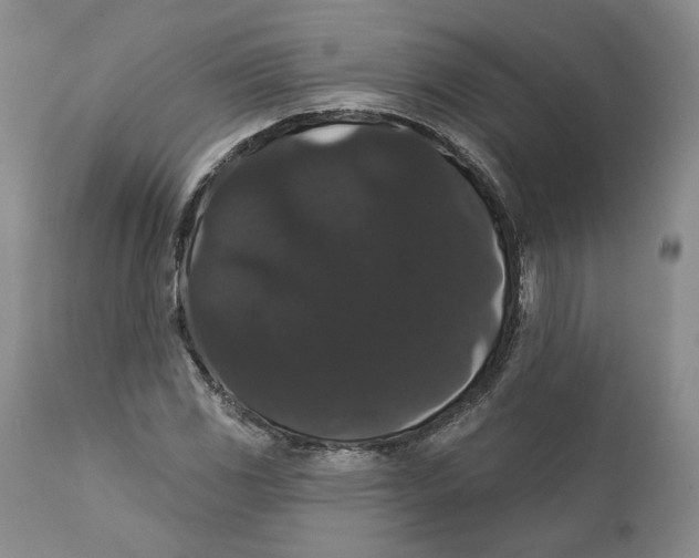 X0000111911117200908241020