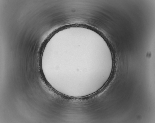 X0000111911118200908241020