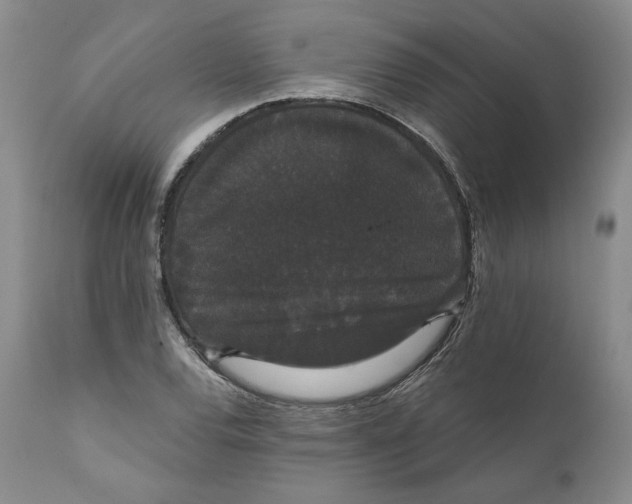 X0000111911120200908241020