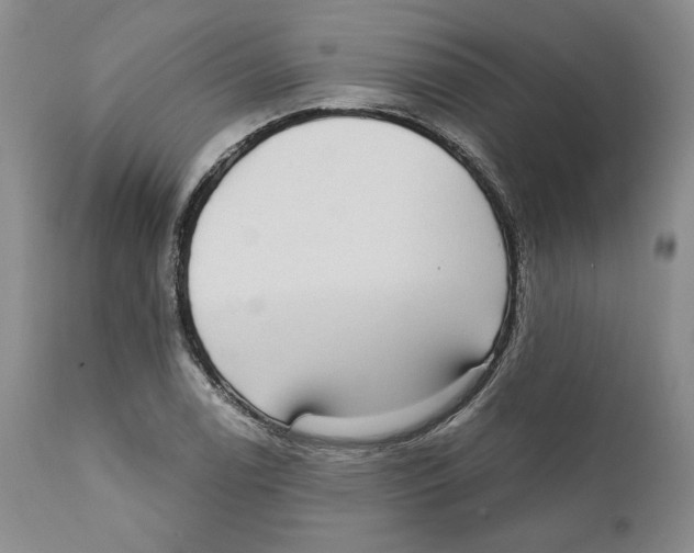 X0000111911122200908241020