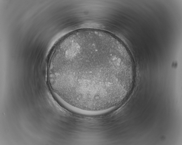 X0000111911123200908241020