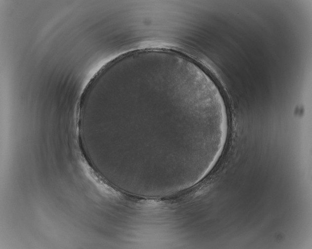 X0000111911124200908241020
